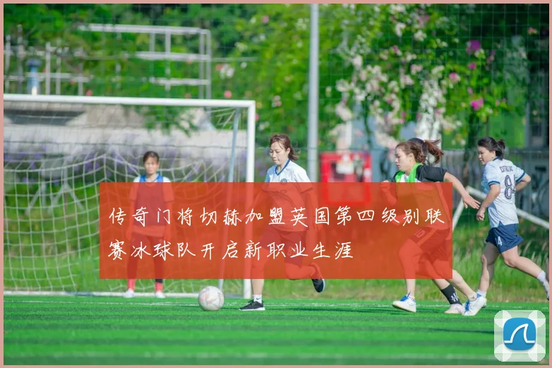 传奇门将切赫加盟英国第四级别联赛冰球队开启新职业生涯