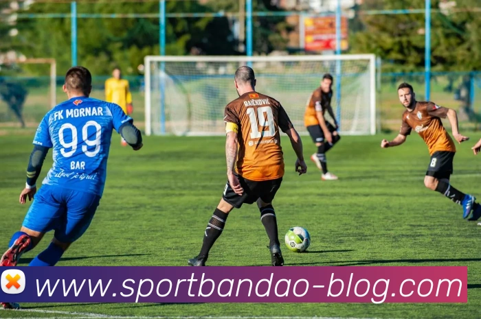 半岛体育APP 高清赛事图